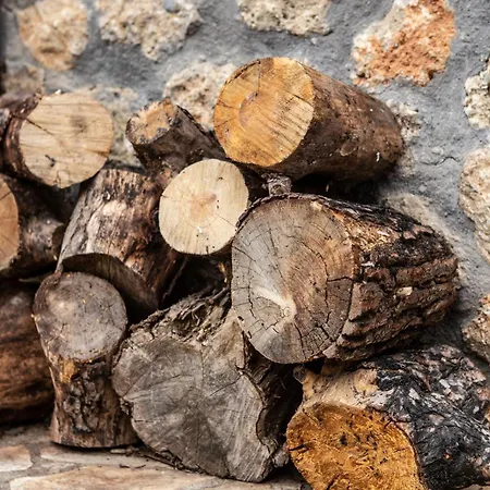 Ornytion Cozy House Willa *