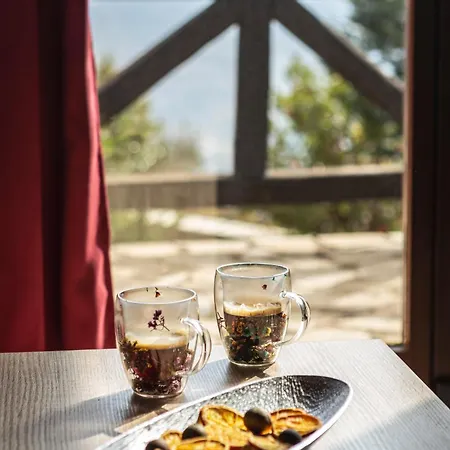 Ornytion Cozy House Willa Synikia Mesi Trikalon