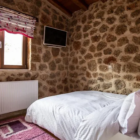 Ornytion Cozy House Synikia Mesi Trikalon